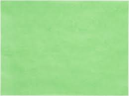 Shah Packaging Inc.  Paper & Packaging - 12" X 30" Green Steak Paper - 425052