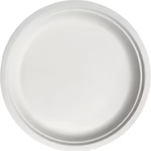 Shah Packaging Inc. . - 10.37" Chinet Dinner Paper Plates, 500/cs - 22011