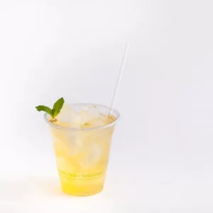 Shah Packaging Inc. - 12 Oz Clear PET Plastic Cups, 1000/Cs - APC12