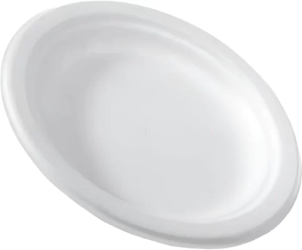 Shah Packaging Inc. . - 6" Chinet Side, 1000 Per Case - 22006