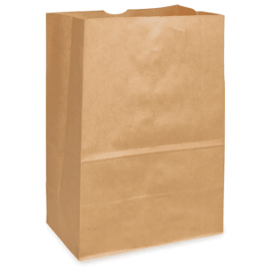 Paper Kraft Bag No. 12x7x17 DD50 (500/cs)