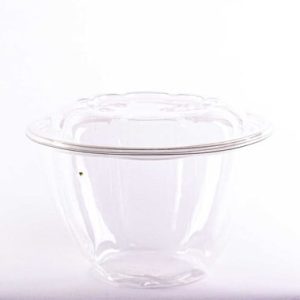Plastic Salad Bowl 48 Oz (Win Sone)