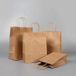 Sac Papier Poignée Torsadée 11''x6''x11.5''