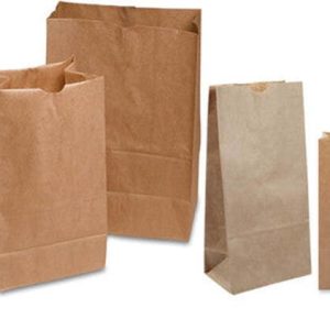 Paper Kraft Bag No. 20 (500/cs)